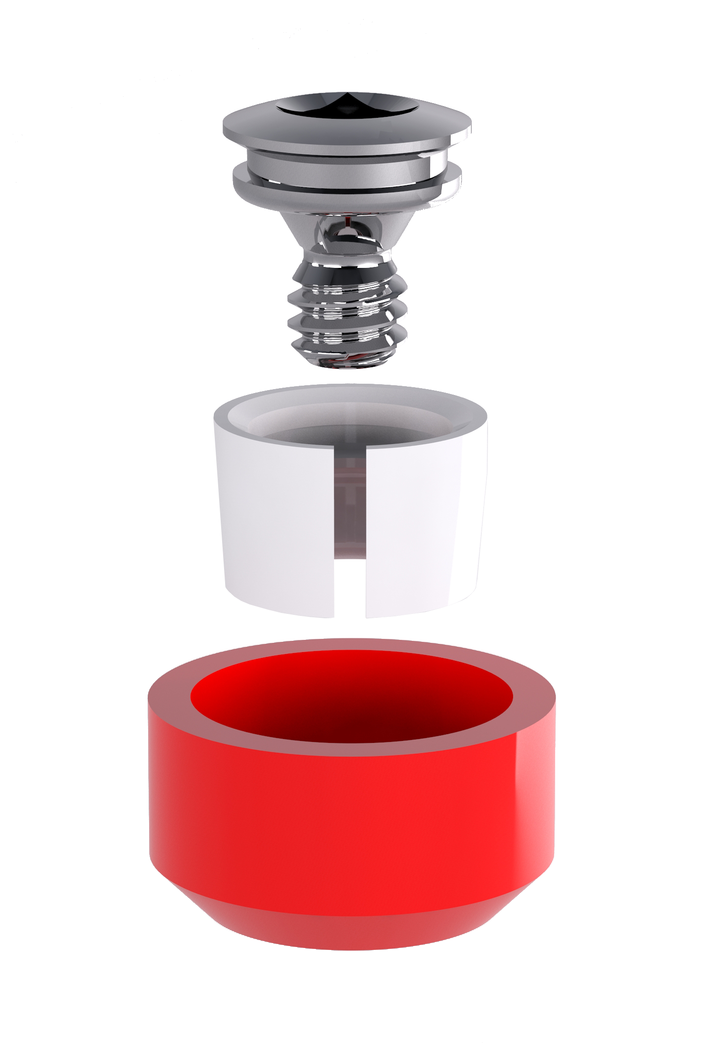 Rhein83 Seeger-Federringe